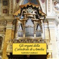gli-organi-della-cattedrale-di-amelia-017996ed9283e544b5736a5e806c6197